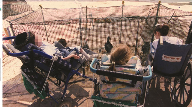 ילדים בעלי מוגבלויות (צילום: משה מילנר, לע"מ)