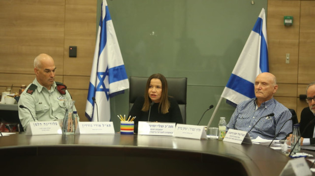 יצחק בריק, שלי יחימוביץ' ותא"ל אורי גורדין בוועדה לביקורת המדינה (צילום: אריק בנדר)