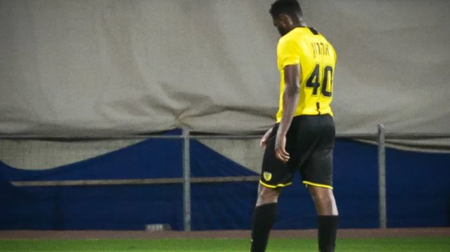  ארון אולנארה (צילום: אריאל שלום)