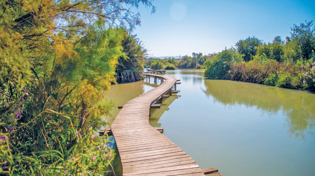 עין אפק (צילום: מנו גרינשפן)