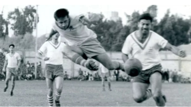 שייע גלזר (צילום: מכבי תל אביב - האתר הרשמי)