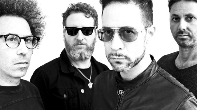 הג'ירפות (צילום: רונן ללנה, יח"צ)