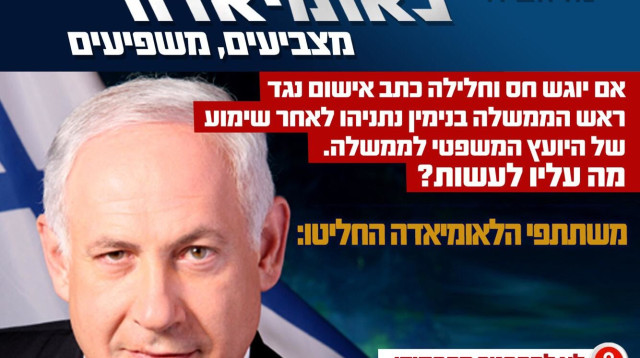 מדגם הלאומיאדה (צילום: לאומיאדה)