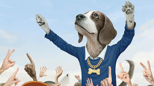 איור (צילום: אופיר בגון)