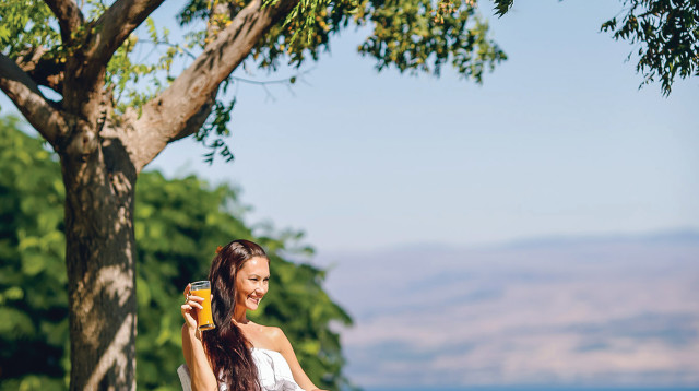 אלומות (צילום: ErezBit)