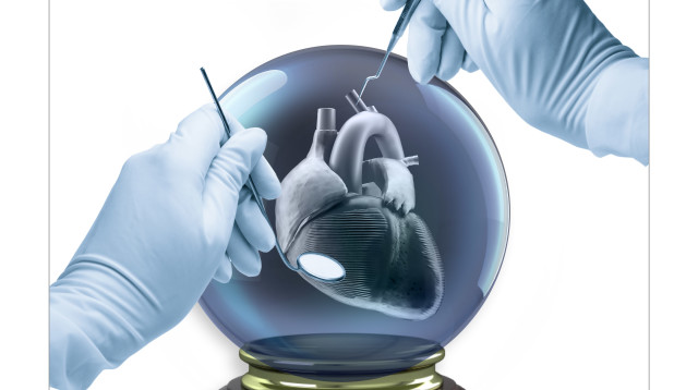 כללית סמייל (צילום: יח"צ)