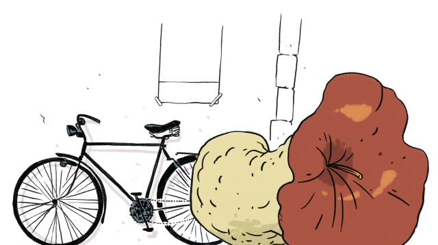 איור (צילום: ליאב צברי)