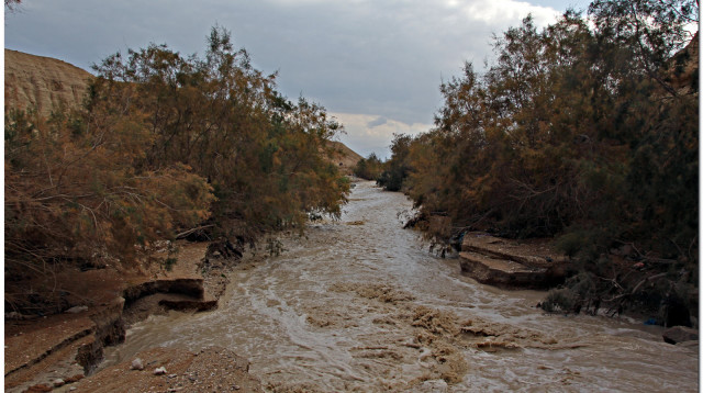 נחל דרגה (צילום: עופר זידון, פלאש 90)