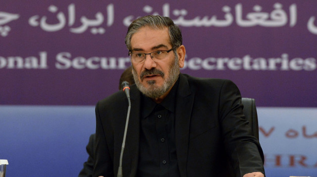 עלי שמחאני (צילום: AFP)