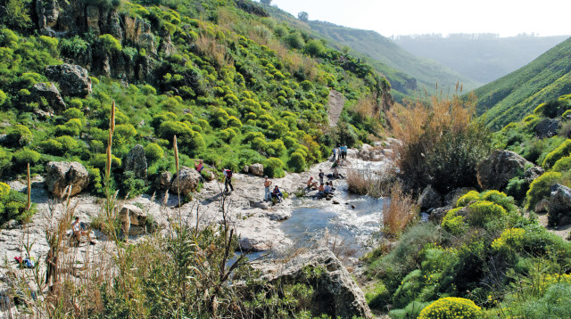 אזור מפלי נחל אל על, רמת הגולן (צילום: הדר יהב)
