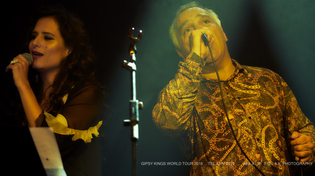 ג'יפסי קינגס, מירי מסיקה (צילום: מקס פולק)