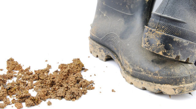 מגפיים (צילום: ingimage ASAP)