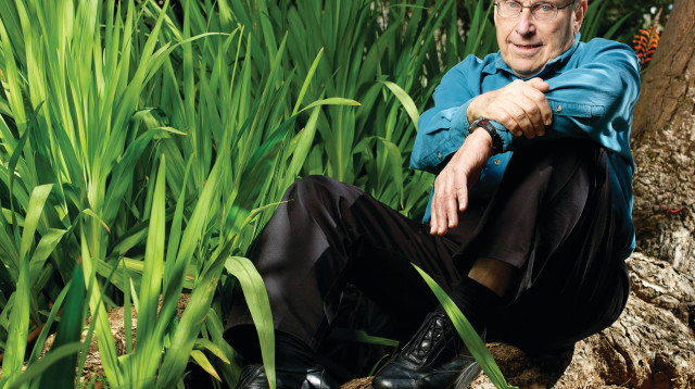 דן אלמגור (צילום: רלי אברהמי)