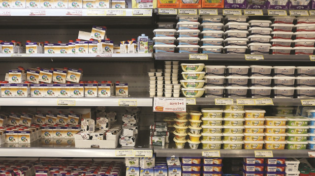 מוצרי חלב (צילום: נתי שוחט, פלאש 90)