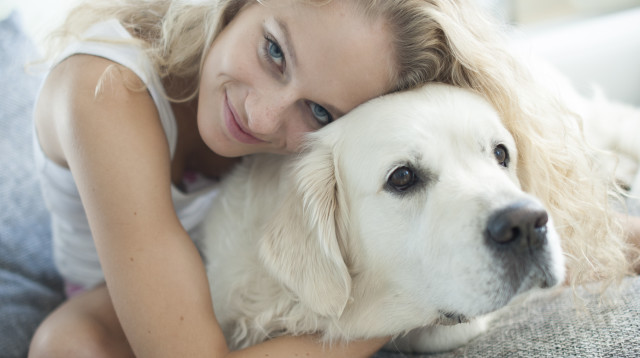 כלבים (צילום: ingimage ASAP)