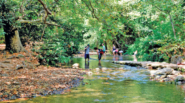 נחל כזיב (צילום: הדר יהב)