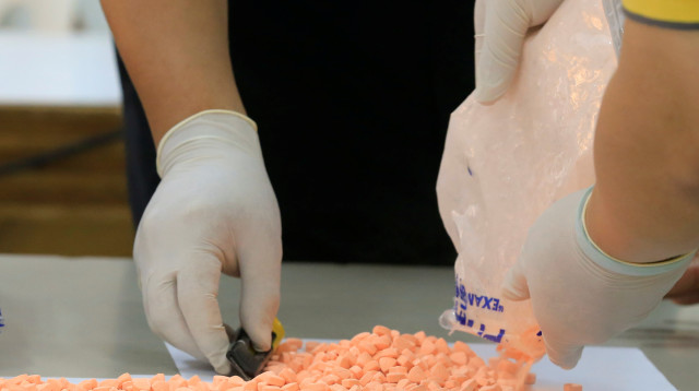 אקסטזי (צילום: רויטרס)