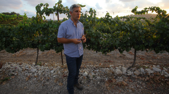 יפתח פרץ יינן יקבי כרמל (צילום: דיוייד סילברמן)