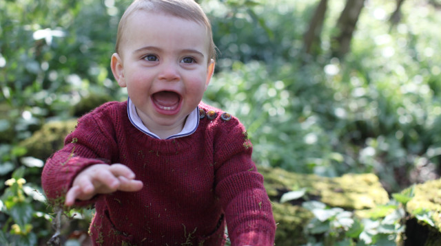 הנסיך לואי (צילום: רויטרס)