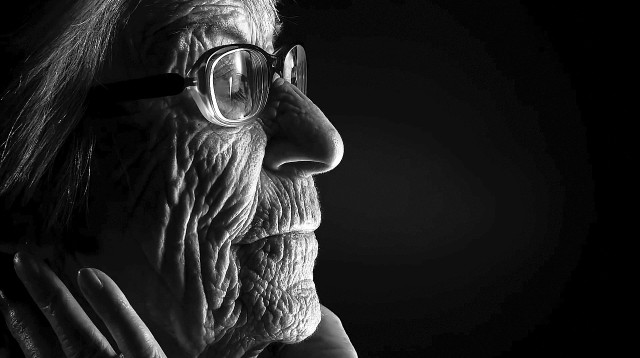 "חיים גרמניים" (צילום: הוט 8)