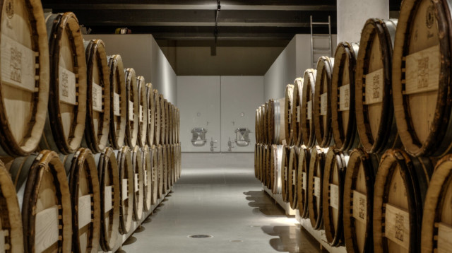 יקב קסטל (צילום: אלעד ברמי)