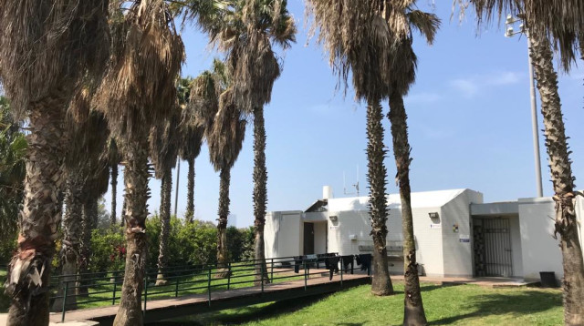 פארק הירקון (צילום: אבשלום ששוני)