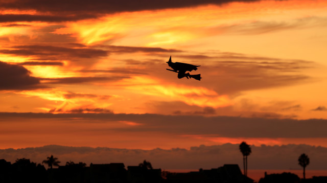 מכשפה, אילוסטרציה (צילום: רויטרס)