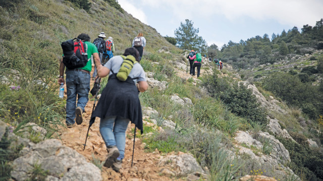 טיול בשטח (צילום: הדס פרוש, פלאש 90)