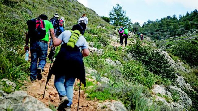 מתקרבת לפסגה (צילום: הדס פרוש , פלאש 90)