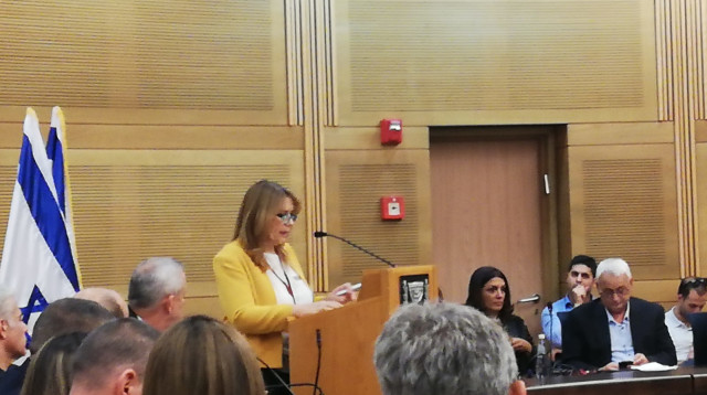 לילי קידר (צילום: אריק בנדר)