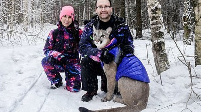 מרינה וסרגיי רוס  (צילום: barcroft animals/youtube)