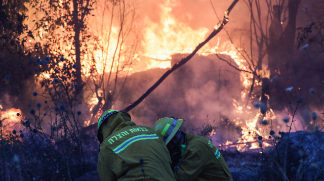 שריפות ליד קיבוץ הראל (צילום: יונתן זינדל, פלאש 90)