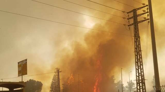 שריפות ברחבי הארץ בשל עומסי החום (צילום: דוברות כבאות והצלה)