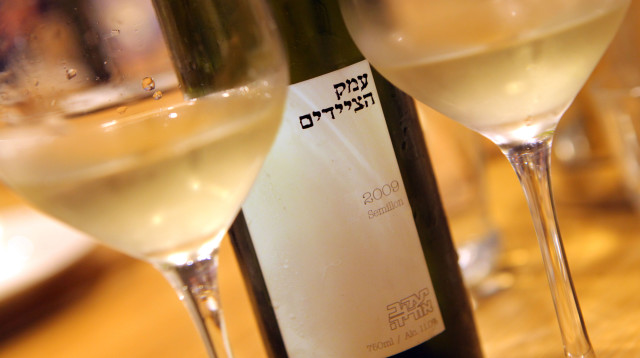 עמק הציידים (צילום: דיוייד סילברמן)