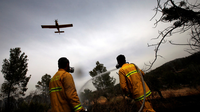 שריפה סמוך לקיבוץ הראל (צילום: רויטרס)