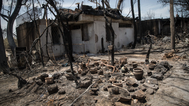 נזקי השריפה, מבוא מודיעים (צילום: הדס פרוש , פלאש 90)