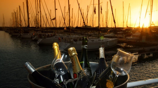 פסטיבל וויט במרינה (צילום: תום גץ)