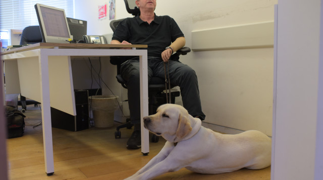 מוטי לוי (צילום: אבשלום ששוני)