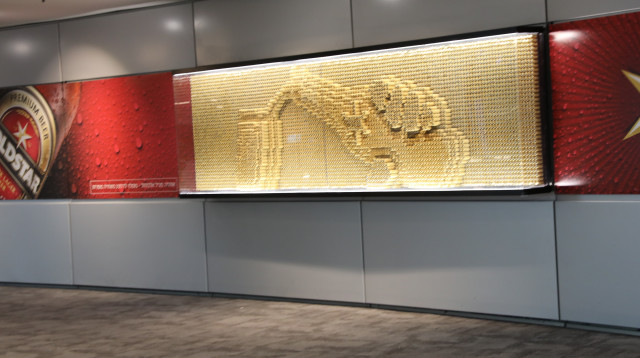 גולדסטאר לשבים מחו"ל (צילום: רפי דלויה)