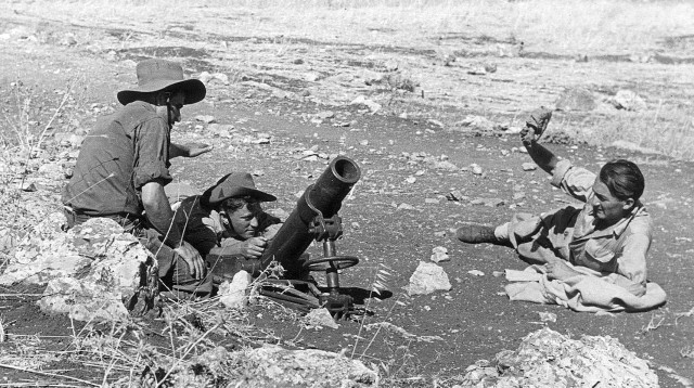 הדוידקה (צילום: פוטו אלכסנדר)