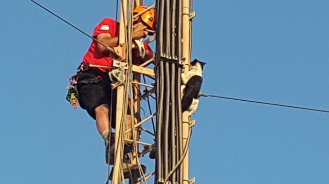 חילוץ חתולה בהר יהל (צילום: דוברות המשטרה,יחידת חילוץ ערד)