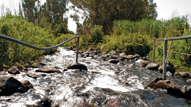 מפל עין תינה, רמת הגולן (צילום: הדר יהב)