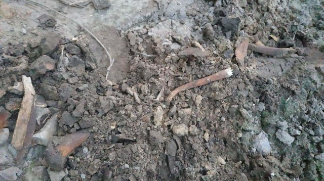 עצמות יהודים בקייב (צילום: הרב משה אסמן)