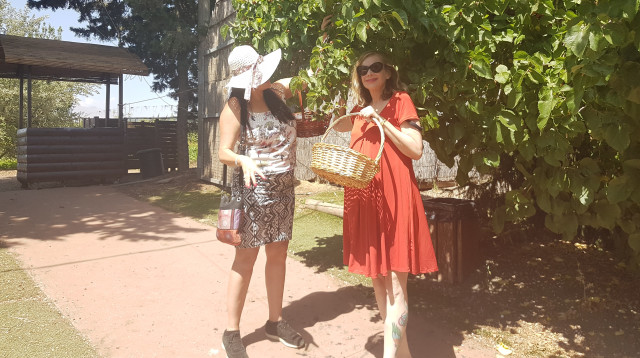 שווה את הנסיעה (צילום: רוני לוי)