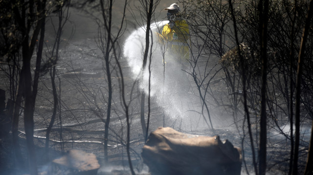 שריפה בעוטף עזה (צילום: רויטרס)