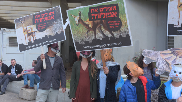 תושבים מפגינים למען אפולוניה (צילום: אבשלום ששוני)