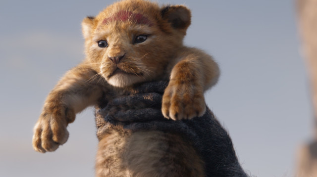 מלך האריות (צילום: באדיבות פורום פילם)