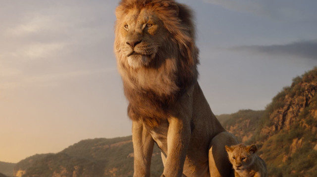 מלך האריות (צילום: באדיבות פורום פילם)