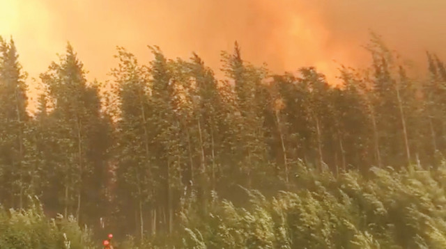 שריפה באלסקה (צילום: רויטרס)