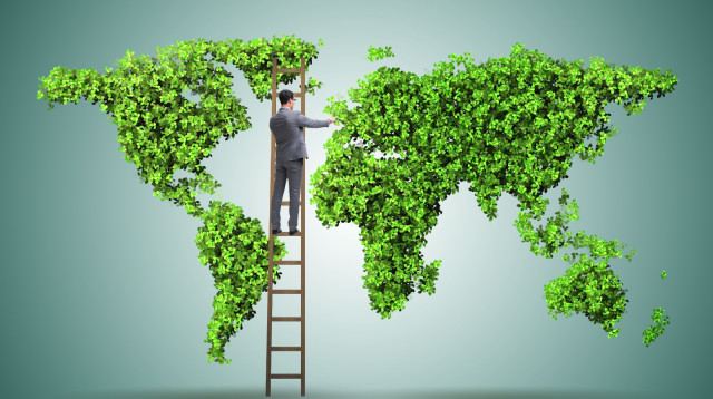 חדשות ירוקות (צילום: אינג אימג')